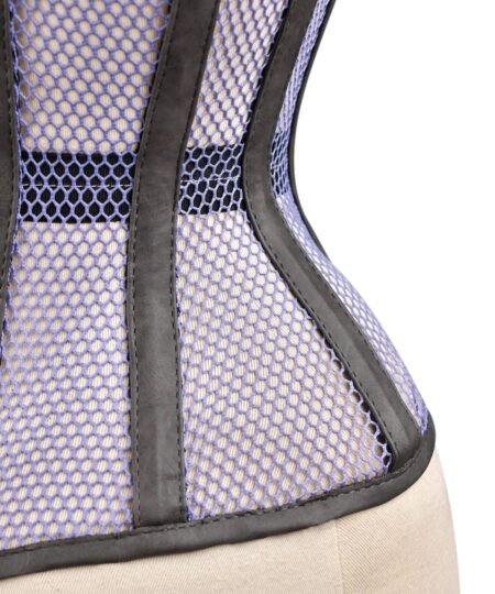 Mesh Mini Waistband Cincher Waspie Corset