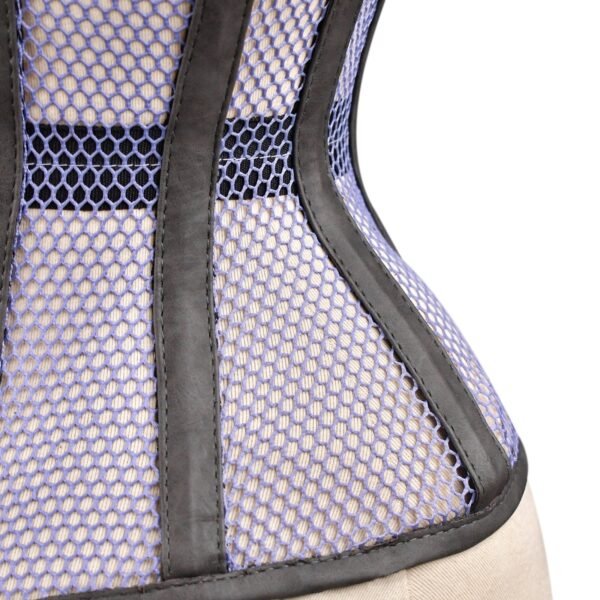 Mesh Mini Waistband Cincher Waspie Corset