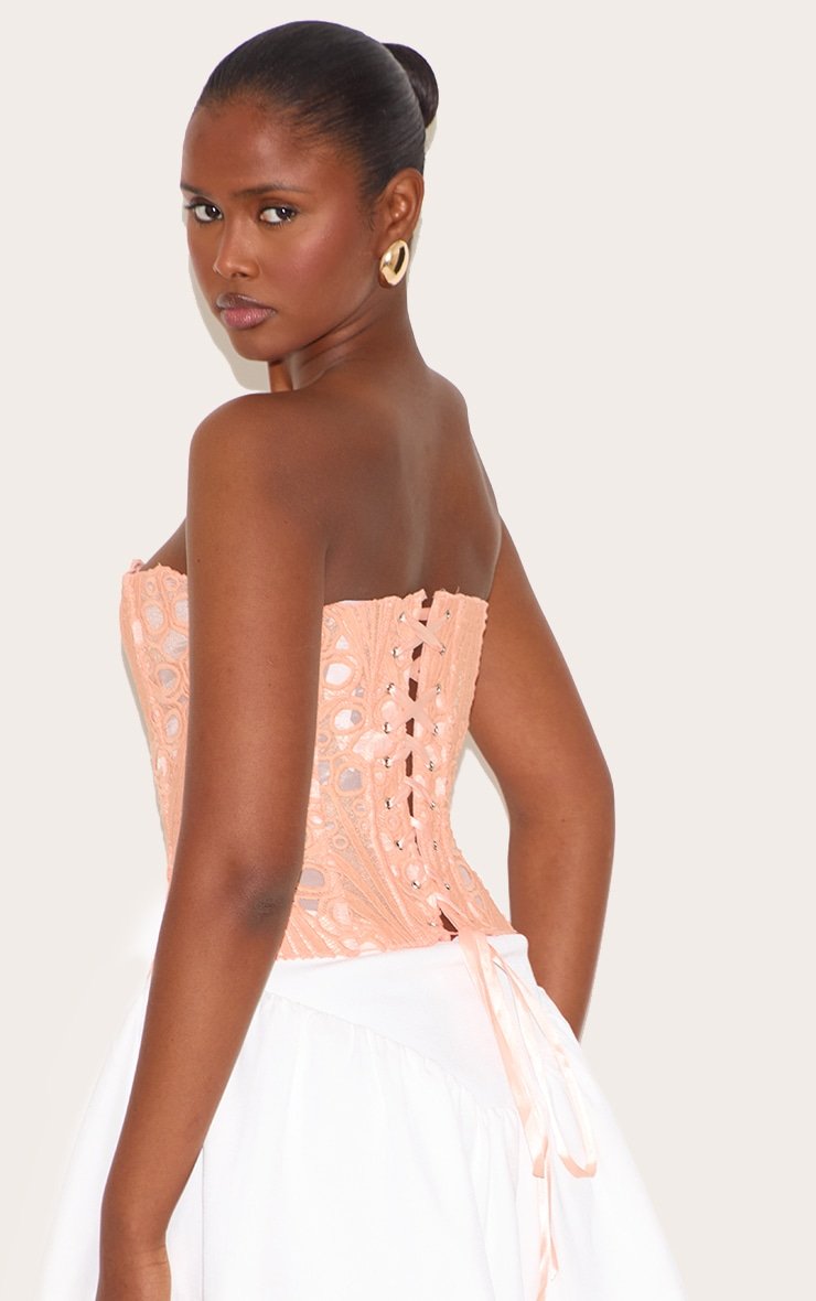 Floral Peach Corset With Mesh Women Bustier back support corset, bustier mesh, corset mesh fabric, corset top sheer, lace bustier corset top, lace up back corset top, lace up bustier, mesh bustier, mesh corset, mesh waist trainer, see through corset, sheer bustier, sheer corset, sheer corset top, mesh bustier, bustier mesh, corset mesh fabric, corset top sheer, lace bustier corset top, lace up back corset top, lace up bustier, mesh bustier, mesh overbust corset, mesh waist trainer, overbust mesh corset, see through corset, sheer bustier, sheer corset, sheer corset top, summer corset, summer corset top waisttraine.com back support corset, bustier mesh, corset mesh fabric, corset top sheer, lace bustier corset top, lace up back corset top, lace up bustier, mesh bustier, mesh corset, mesh waist trainer, see through corset, sheer bustier, sheer corset, sheer corset top, mesh bustier, bustier mesh, corset mesh fabric, corset top sheer, lace bustier corset top, lace up back corset top, lace up bustier, mesh bustier, mesh overbust corset, mesh waist trainer, overbust mesh corset, see through corset, sheer bustier, sheer corset, sheer corset top, summer corset, summer corset top waisttraine.com
