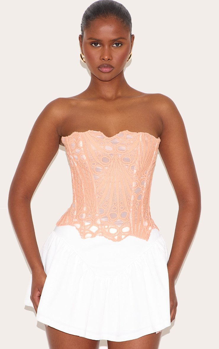 Floral Peach Corset With Mesh Women Bustier  back support corset, bustier mesh, corset mesh fabric, corset top sheer, lace bustier corset top, lace up back corset top, lace up bustier, mesh bustier, mesh corset, mesh waist trainer, see through corset, sheer bustier, sheer corset, sheer corset top, mesh bustier, bustier mesh, corset mesh fabric, corset top sheer, lace bustier corset top, lace up back corset top, lace up bustier, mesh bustier, mesh overbust corset, mesh waist trainer, overbust mesh corset, see through corset, sheer bustier, sheer corset, sheer corset top, summer corset, summer corset top waisttraine.com back support corset, bustier mesh, corset mesh fabric, corset top sheer, lace bustier corset top, lace up back corset top, lace up bustier, mesh bustier, mesh corset, mesh waist trainer, see through corset, sheer bustier, sheer corset, sheer corset top, mesh bustier, bustier mesh, corset mesh fabric, corset top sheer, lace bustier corset top, lace up back corset top, lace up bustier, mesh bustier, mesh overbust corset, mesh waist trainer, overbust mesh corset, see through corset, sheer bustier, sheer corset, sheer corset top, summer corset, summer corset top waisttraine.com